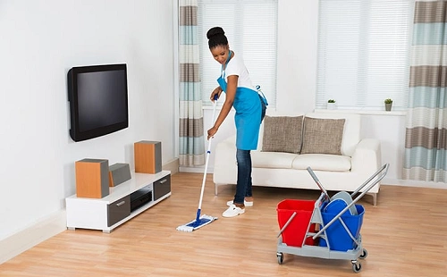 Cleaning and Home Services Business