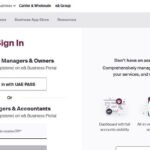 Etisalat Business Login – Guide to e& Business Portal Access